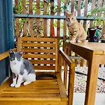 The Spot Glamping