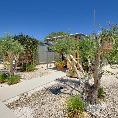 Кемпинг The Spot Glamping Protaras