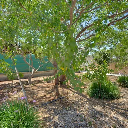 The Spot Glamping Πρωταράς