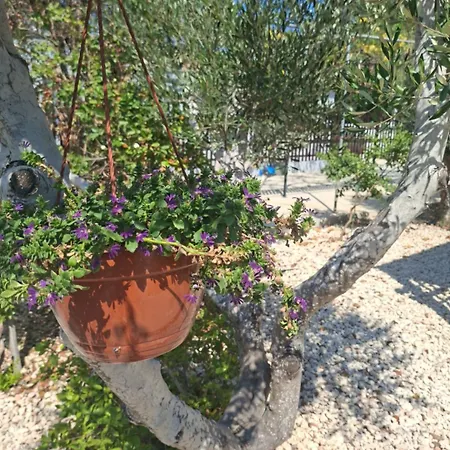 The Spot Glamping Protaras Кемпинг
