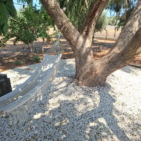 Кемпинг The Spot Glamping Protaras