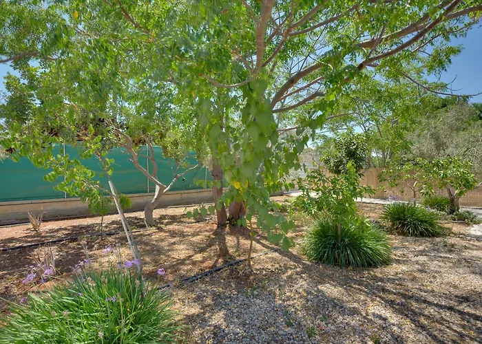 The Spot Glamping Πρωταράς