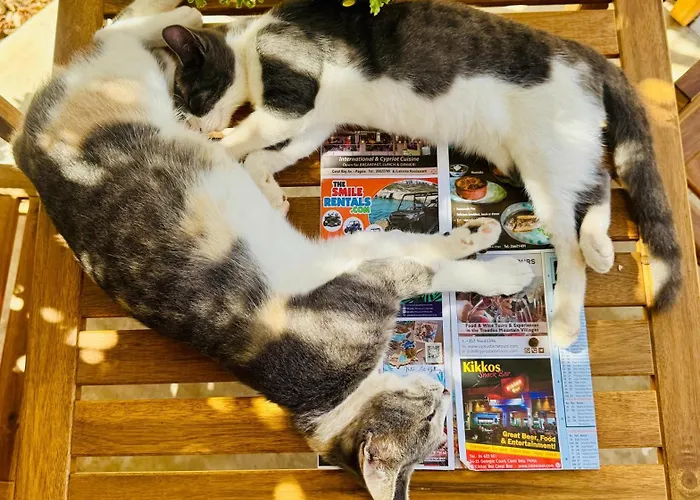 The Spot Glamping Διαμέρισμα *